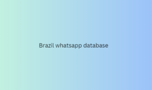 Brazil whatsapp database