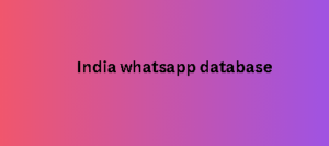 India whatsapp database