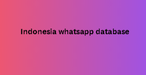 Indonesia whatsapp database