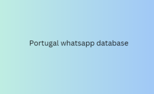 Portugal whatsapp database