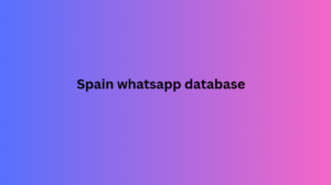 Spain whatsapp database